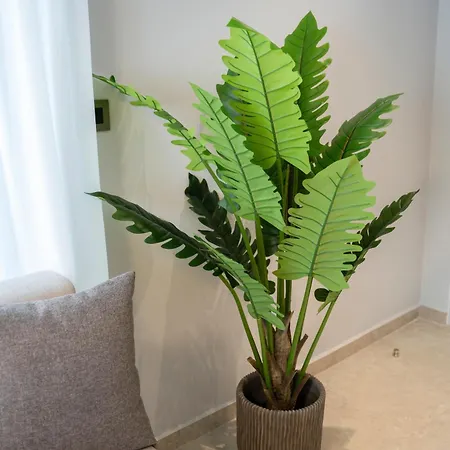 Zen By The Sea * Кос