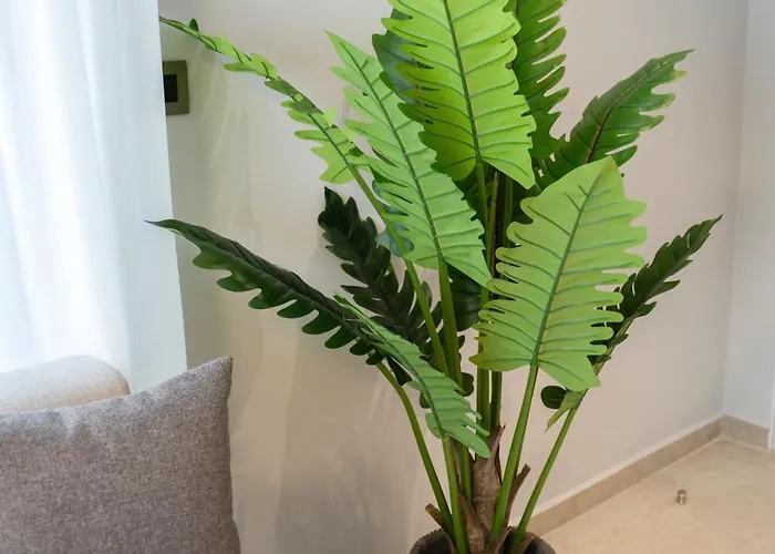 Zen By The Sea * Кос